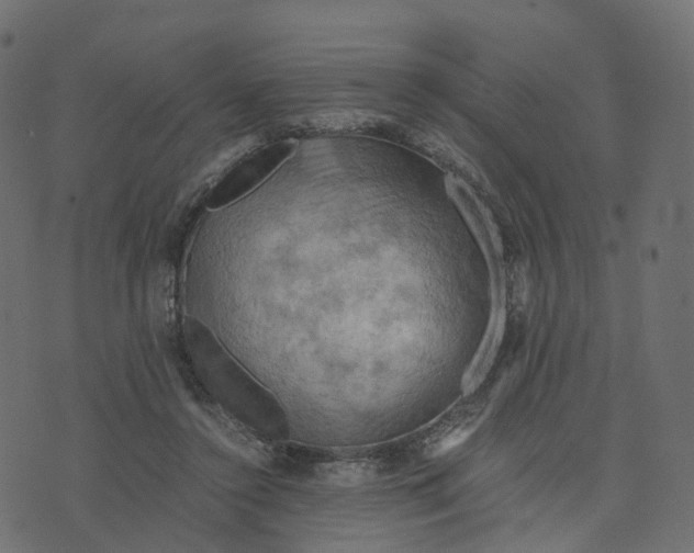 X0000073410356200608251531