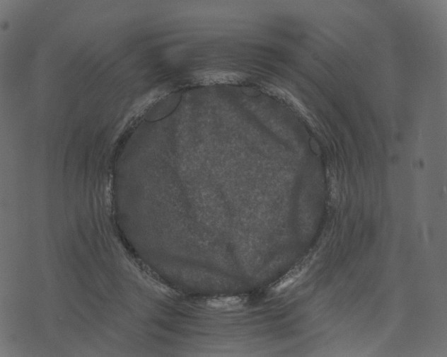 X0000073410357200608251531