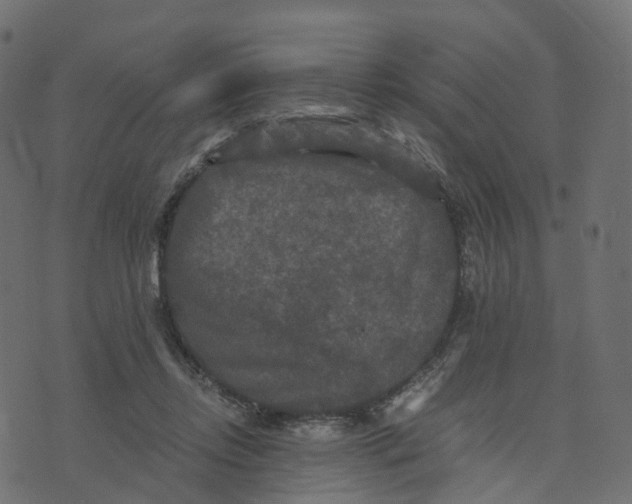 X0000073410358200608251531