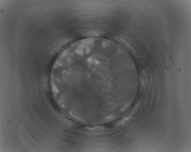 X0000073410359200608251531