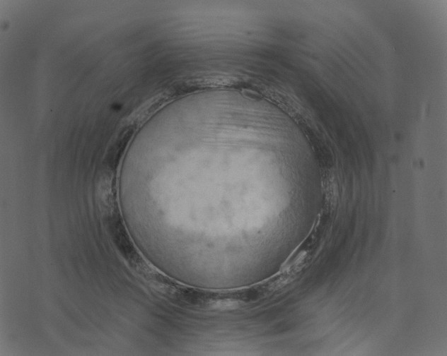 X0000073410360200608251531