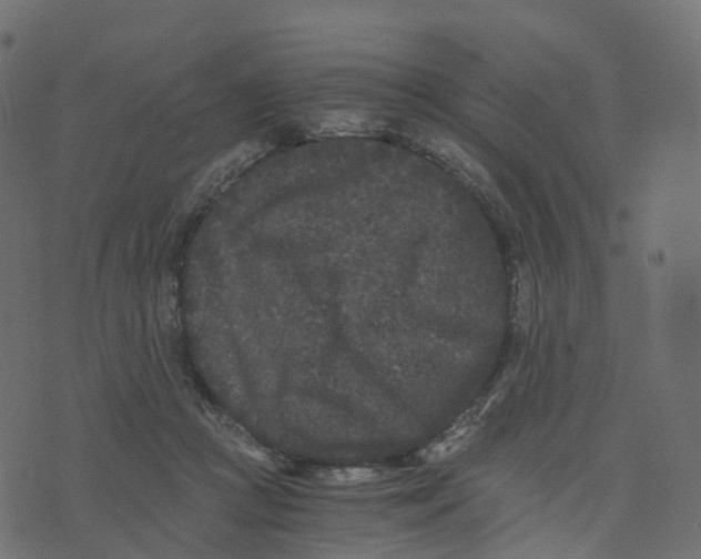 X0000073410361200608251531