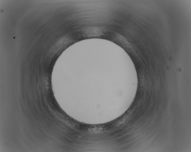 X0000073410362200608251531