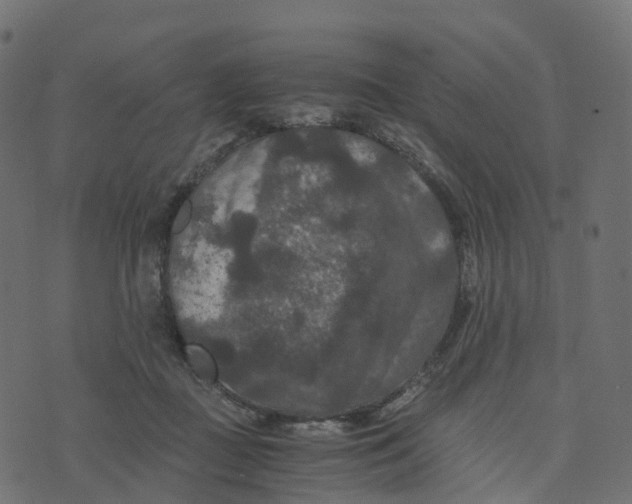 X0000073410363200608251531