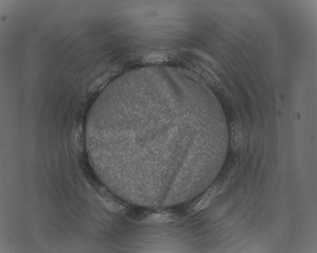 X0000073410364200608251531