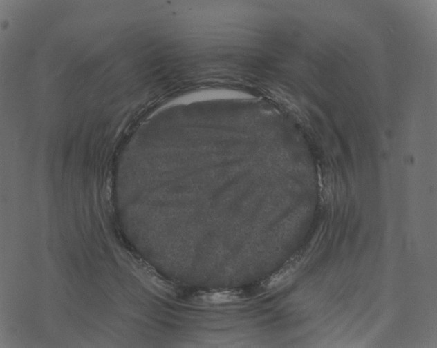 X0000073410365200608251531