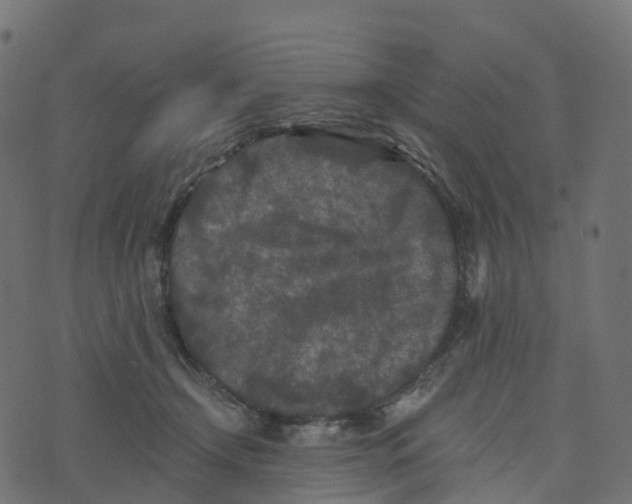 X0000073410366200608251531