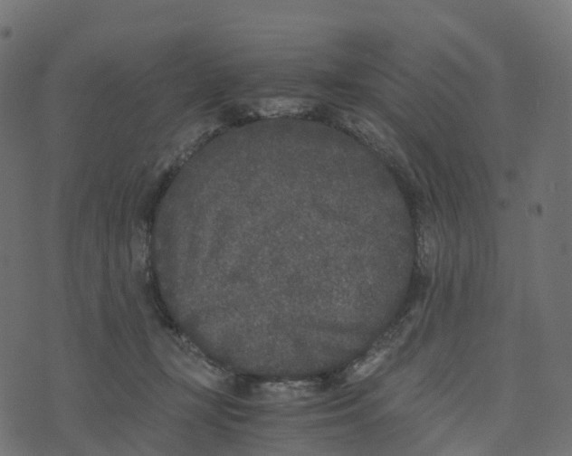 X0000073410367200608251531