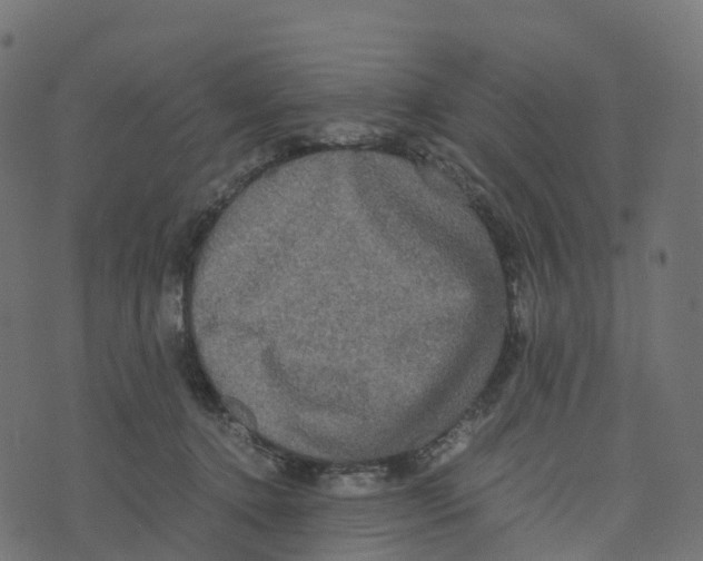 X0000073410368200608251531