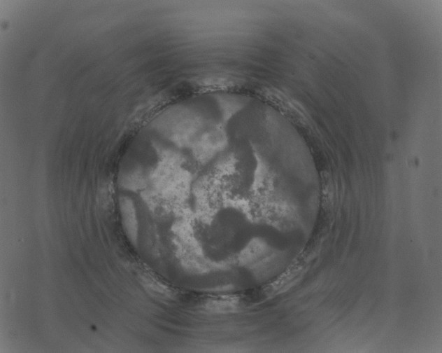 X0000073410369200608251531