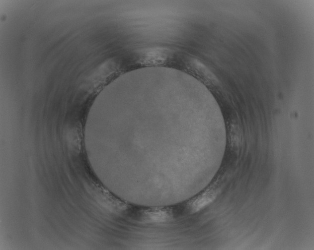 X0000073410370200608251531