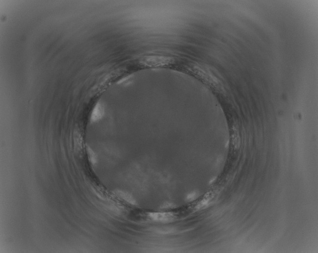 X0000073410371200608251531