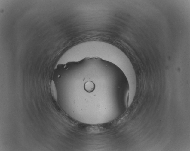 X0000073410372200608251531