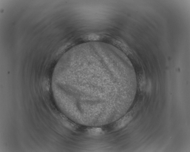 X0000073410374200608251531