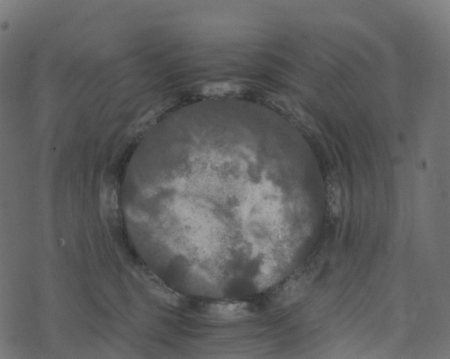 X0000073410375200608251531