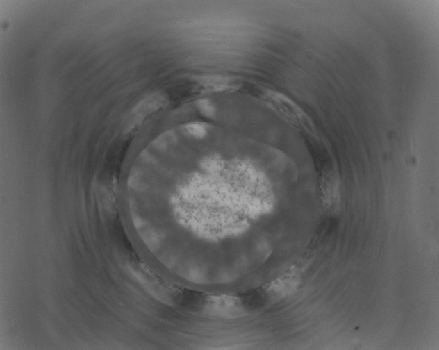 X0000073410376200608251531