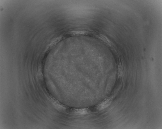 X0000073410377200608251531