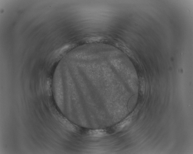 X0000073410378200608251531