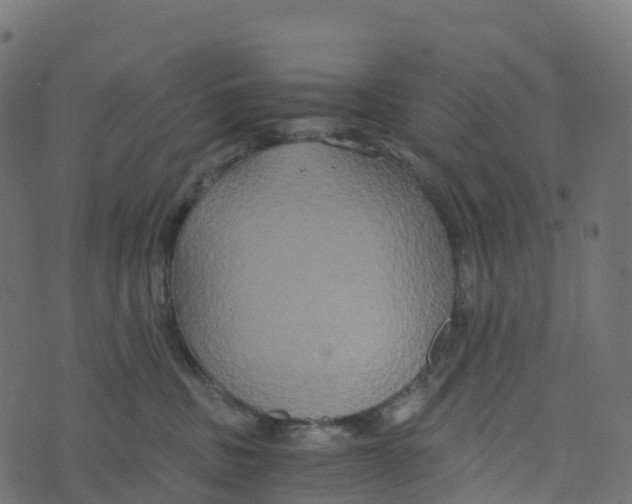 X0000073410379200608251531