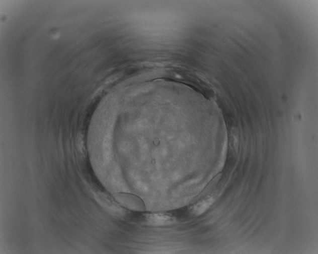 X0000073410380200608251531