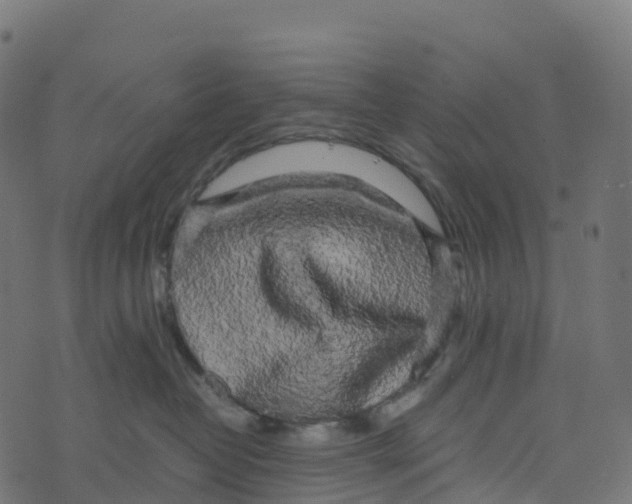 X0000073410382200608251531