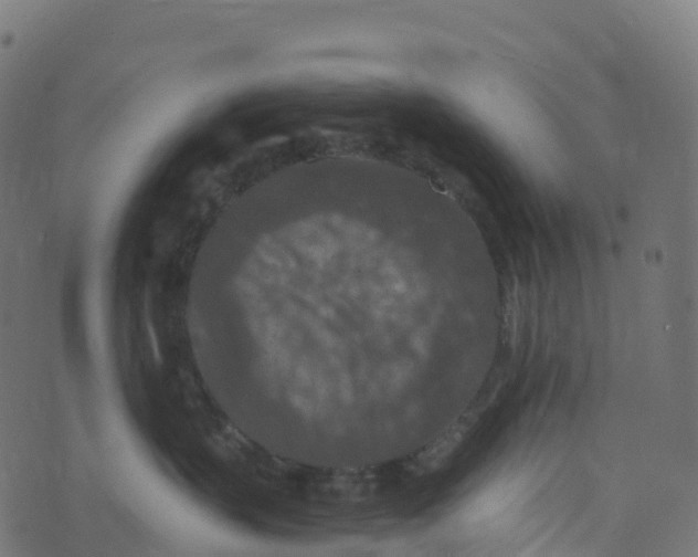 X0000073410383200608251531