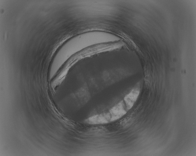 X0000073410386200608251530