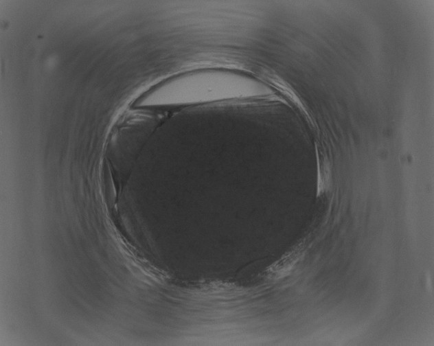 X0000073410387200608251530