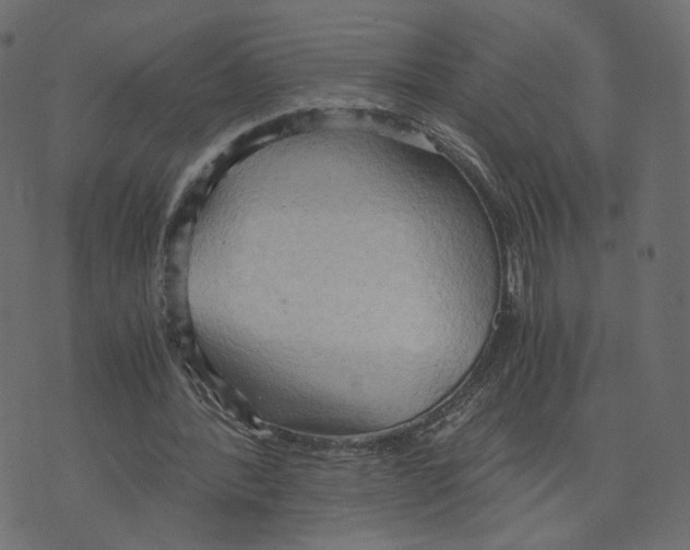 X0000073410388200608251530