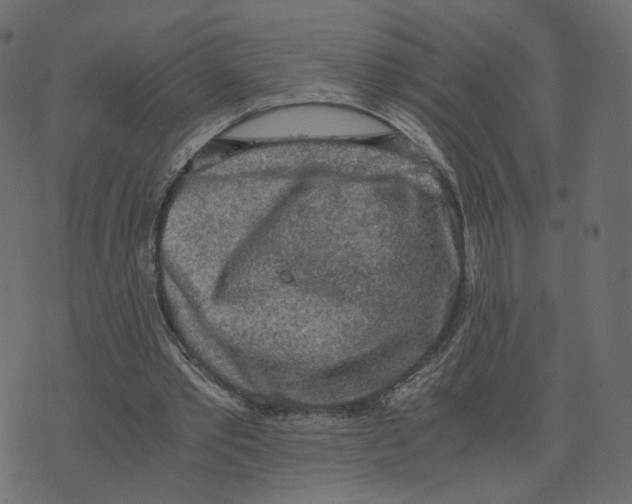 X0000073410389200608251530