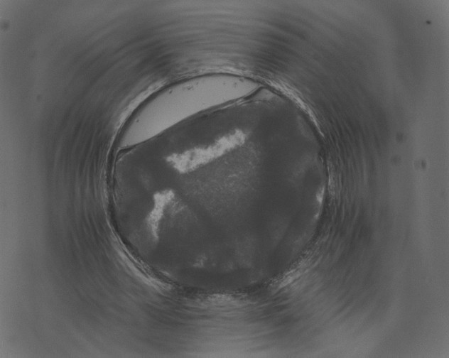 X0000073410390200608251530