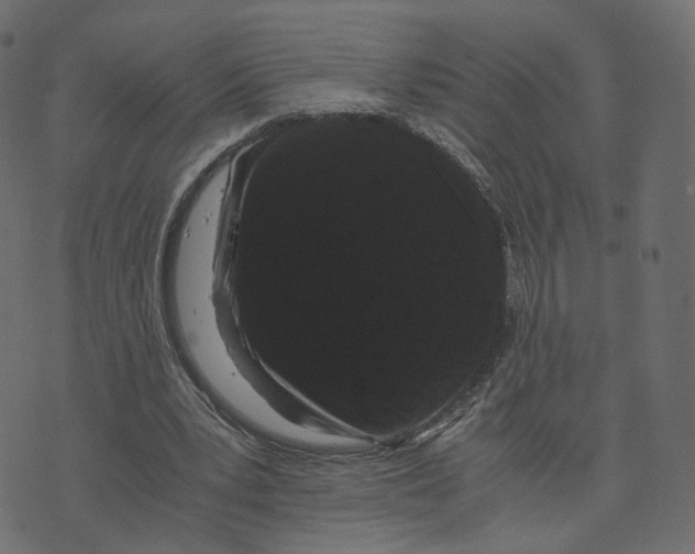 X0000073410391200608251530