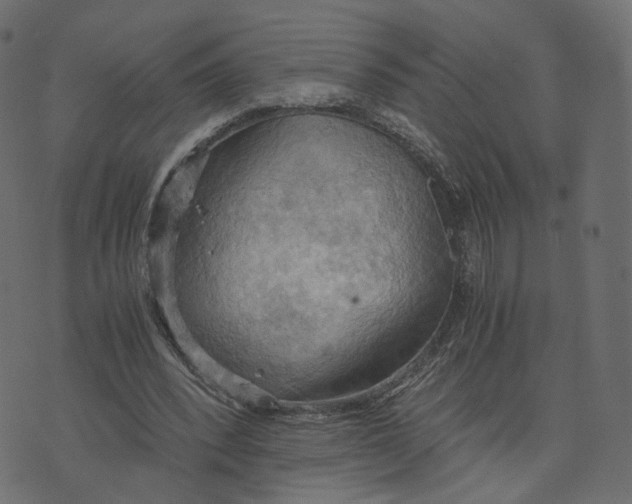 X0000073410392200608251530