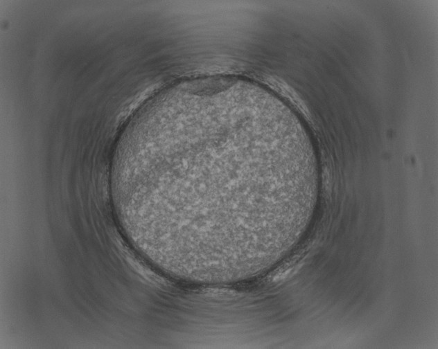 X0000073410393200608251530