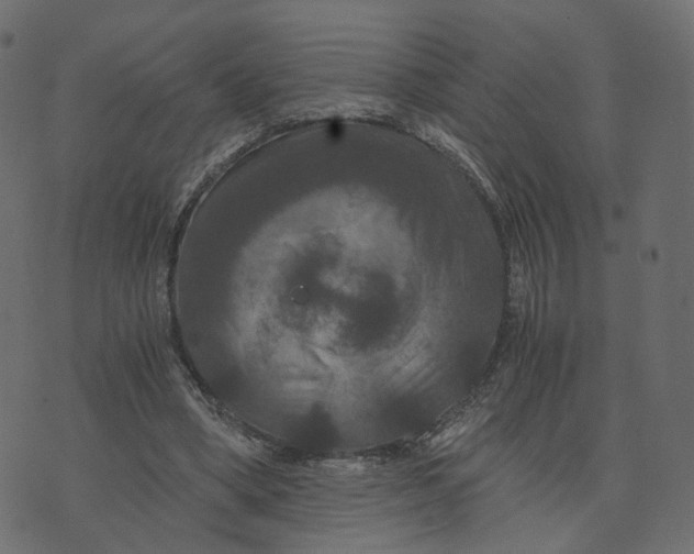 X0000073410394200608251530