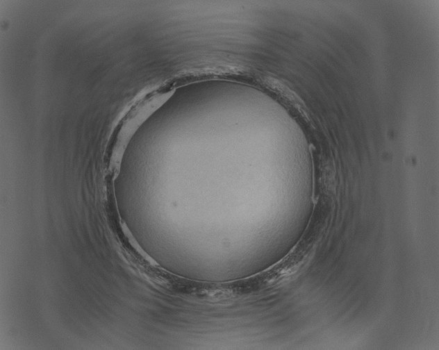 X0000073410395200608251530