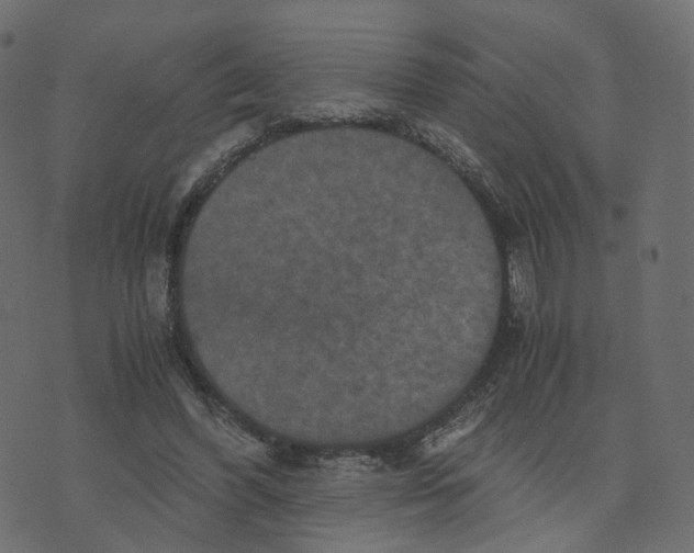 X0000073410396200608251530