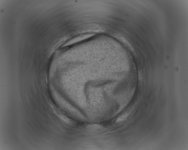 X0000073410397200608251530