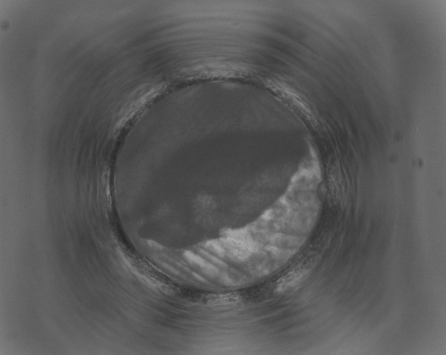 X0000073410398200608251530