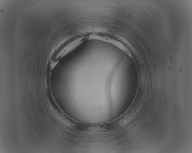 X0000073410399200608251530