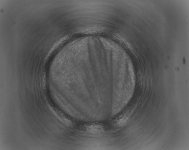 X0000073410400200608251530