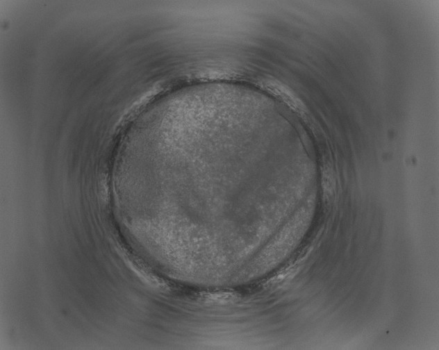 X0000073410401200608251530