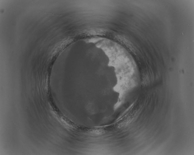 X0000073410402200608251530