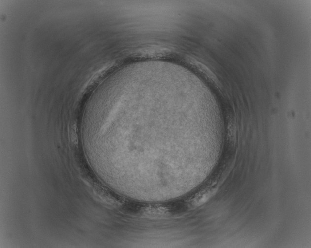 X0000073410403200608251530