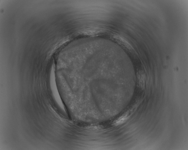 X0000073410404200608251530