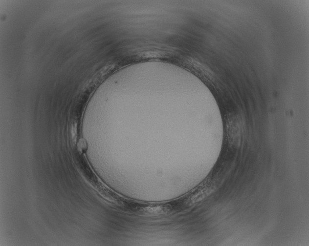 X0000073410406200608251530