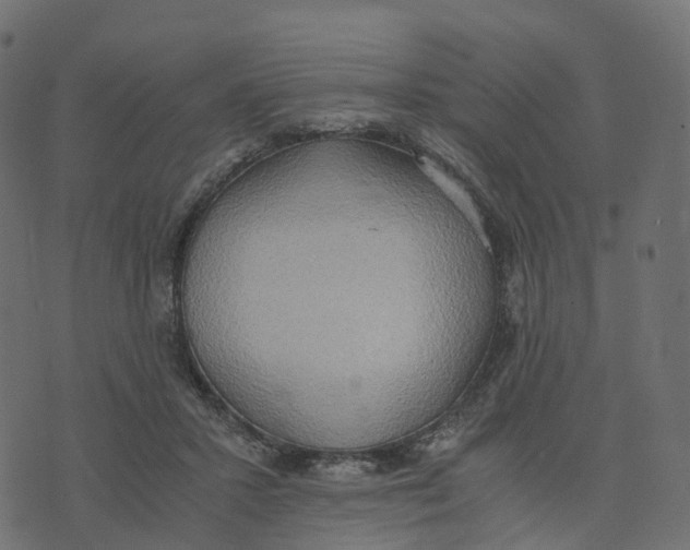 X0000073410407200608251530