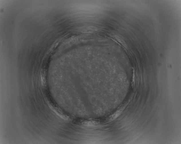 X0000073410408200608251530