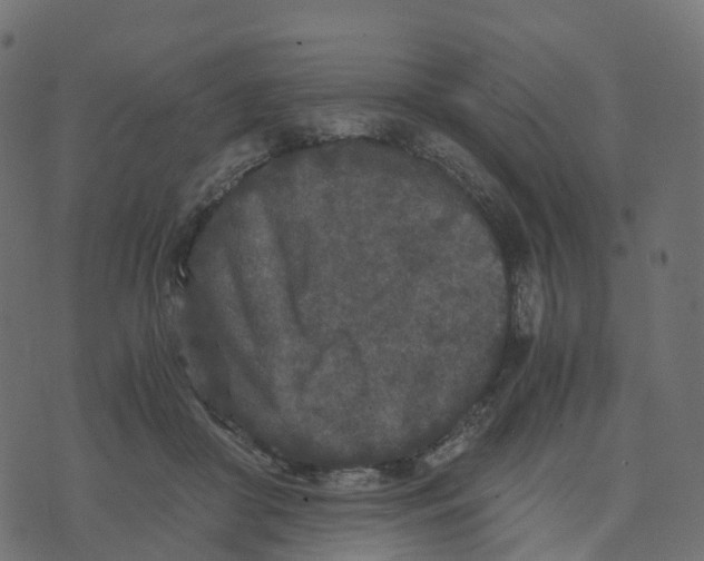 X0000073410410200608251530