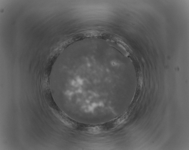 X0000073410411200608251530